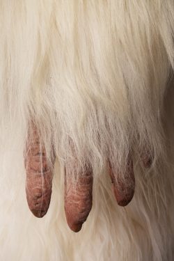 Yeti Replica SKU 3139 - Image 12