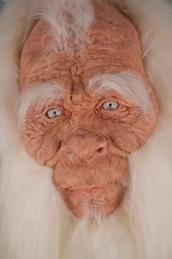 Yeti Replica SKU 3139 - Image 15