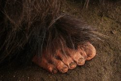 Big Foot Replica SKU 3138 - Image 3