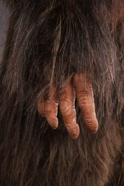 Big Foot Replica SKU 3138 - Image 4