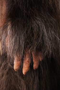 Big Foot Replica SKU 3138 - Image 5