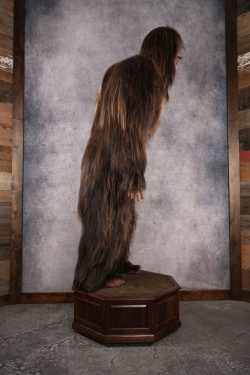 Big Foot Replica SKU 3138 - Image 8