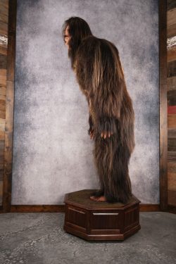 Big Foot Replica SKU 3138 - Image 12