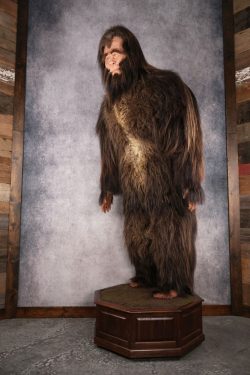 Big Foot Replica SKU 3138 - Image 13