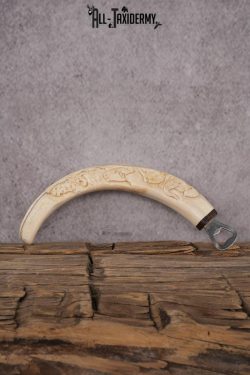 Carved Warthog Tusk Bottle Opener SKU 2427