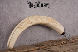 Carved Warthog Tusk Bottle Opener SKU 2427 - Image 3