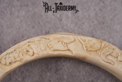 Carved Warthog Tusk Bottle Opener SKU 2427 - Image 2