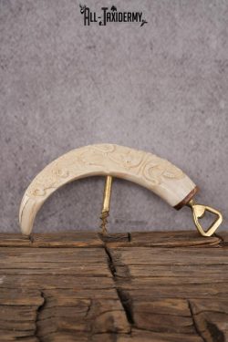 Carved Warthog Tusk Bottle Opener SKU 2428