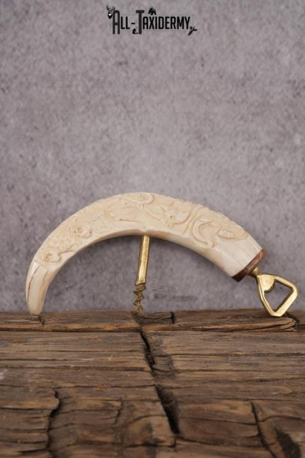 Carved Warthog Tusk Bottle Opener SKU 2428