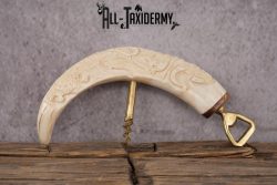 Carved Warthog Tusk Bottle Opener SKU 2428 - Image 2
