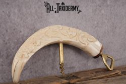 Carved Warthog Tusk Bottle Opener SKU 2428 - Image 5