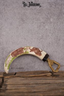 Scrimshaw Warthog Tusk Bottle Opener SKU 2426