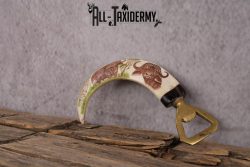 Scrimshaw Warthog Tusk Bottle Opener SKU 2426 - Image 3