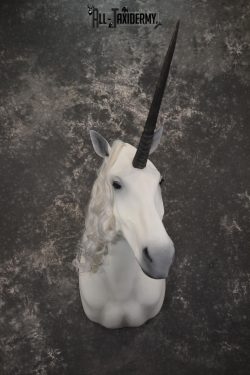 Unicorn Taxidermy Shoulder Mount SKU 2145