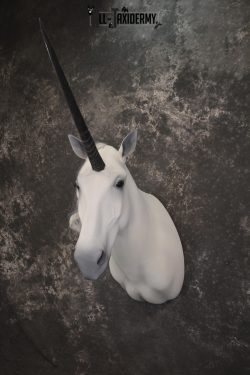 Unicorn Taxidermy Shoulder Mount SKU 2145 - Image 12