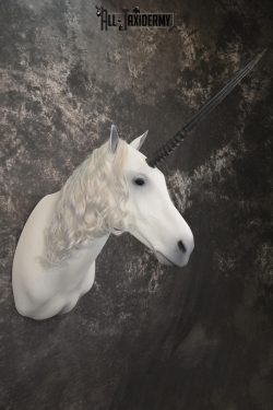 Unicorn Taxidermy Shoulder Mount SKU 2145 - Image 10