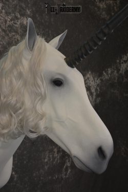 Unicorn Taxidermy Shoulder Mount SKU 2145 - Image 8