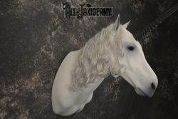 Unicorn Taxidermy Shoulder Mount SKU 2145 - Image 7