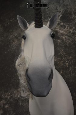 Unicorn Taxidermy Shoulder Mount SKU 2145 - Image 4