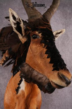 Mythical Creature SKU 2599 - Image 8