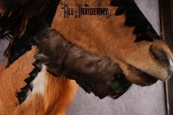 Mythical Creature SKU 2599 - Image 6