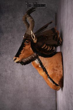 Mythical Creature SKU 2599 - Image 2