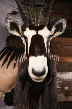 Mythical Creature SKU 2600 - Image 6