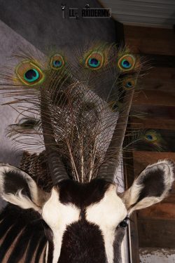 Mythical Creature SKU 2600 - Image 8