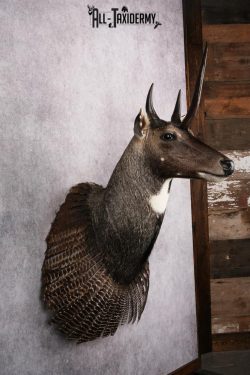 Mythical Creature SKU 2602 - Image 5