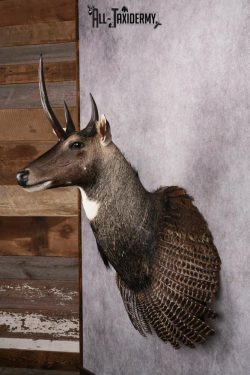 Mythical Creature SKU 2602 - Image 4