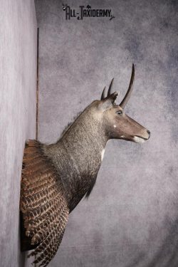 Mythical Creature SKU 2602 - Image 3