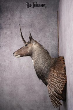 Mythical Creature SKU 2602 - Image 2