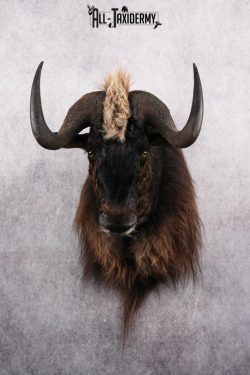 Mythical Creature SKU 2601