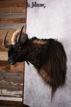 Mythical Creature SKU 2601 - Image 5