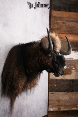 Mythical Creature SKU 2601 - Image 4