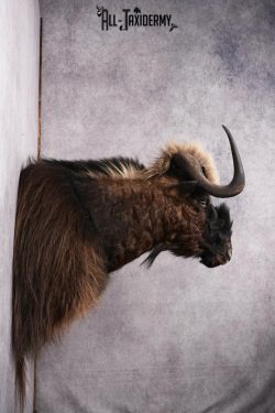 Mythical Creature SKU 2601 - Image 3