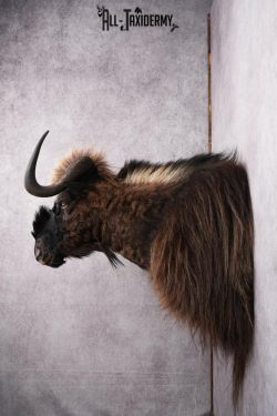 Mythical Creature SKU 2601 - Image 2