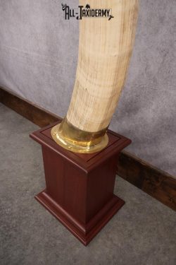 Pair of Reproduction Elephant Tusk SKU 2657 - Image 6