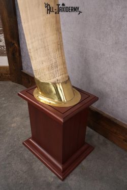 Pair of Reproduction Elephant Tusk SKU 2657 - Image 5