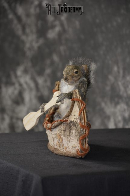 Gray Squirrel in Canoe Taxidermy Mount for sale * SKU 2020