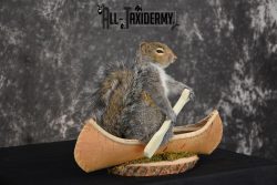 X-Large Gray Squirrel in a canoe Novelty Taxidermy Mount for sale SKU 1492 - Image 3