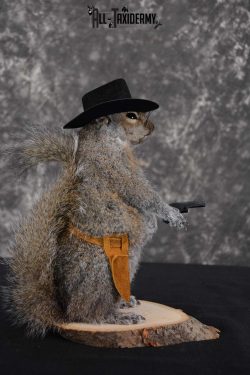 Gray Squirrel taxidermy cowboy novelty for sale SKU 1634 - Image 2