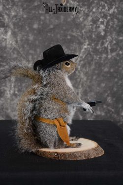 Gray Squirrel taxidermy cowboy novelty for sale SKU 1637 - Image 3