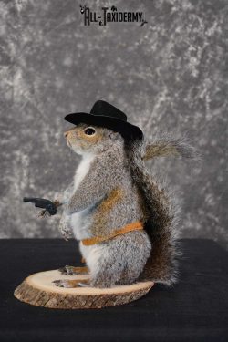Gray Squirrel taxidermy cowboy novelty for sale SKU 1637 - Image 2