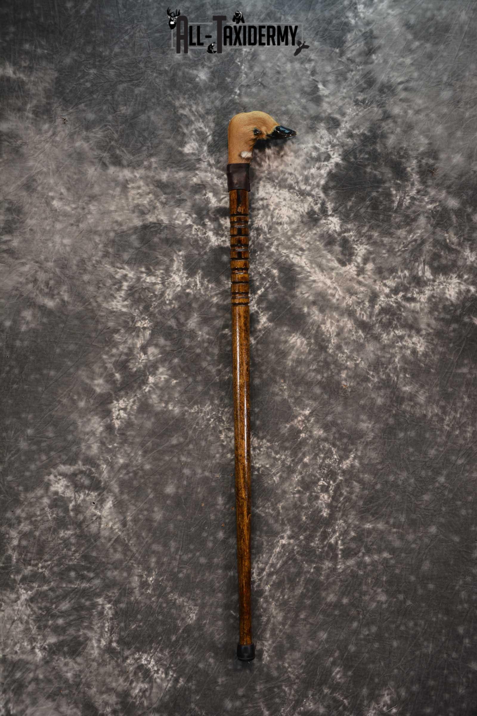 DSC_8080 Deer Foot Cane taxidermy for sale SKU 1766.3 - Image 1