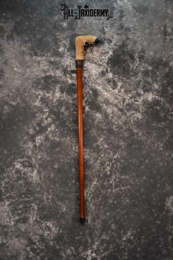 Deer Foot Cane taxidermy for sale SKU 1766.2
