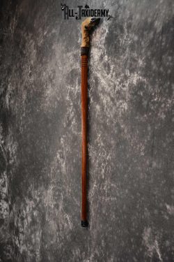 Deer Foot Cane taxidermy for sale SKU 1766.2 - Image 3