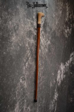 Deer Foot Cane taxidermy for sale SKU 1766.2 - Image 2