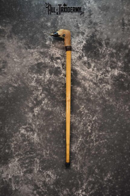 Deer Foot Cane taxidermy for sale SKU 1765.3