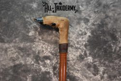 Deer Foot Cane taxidermy for sale SKU 1765.1 - Image 4